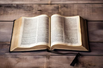 Screenshot 2025-07-20 181913 Screenshot 2025-07-20 181913